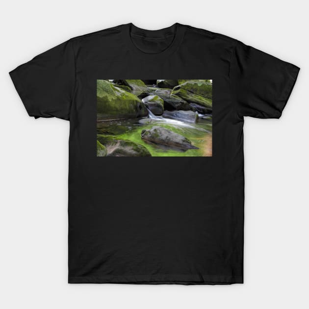 Berea water fals, berea, Ohio T-Shirt by Carlosr1946